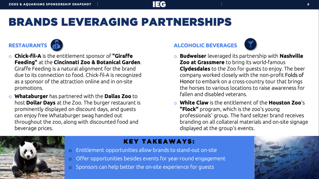 Partnership marketing consultancy